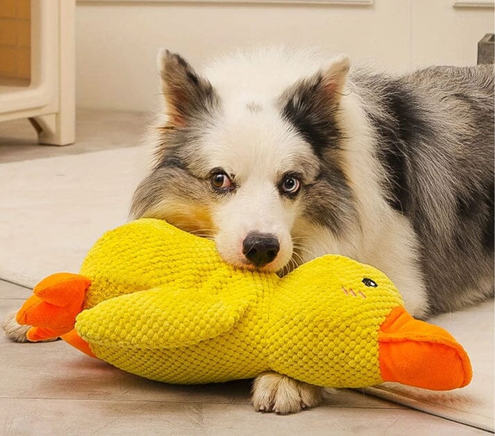 Le jouet Canard Calmant brinquedo Mascato Shop